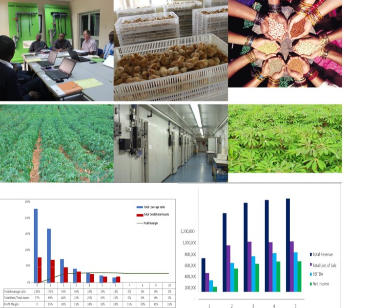 ACCESS TO FINANCE FOR AGRIBUSINESSES: YOUR ULTIMATE GUIDE TO FUNDING SUCCESS