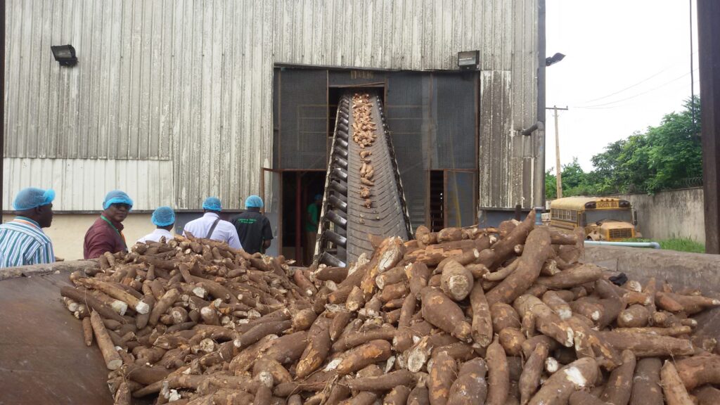 CHECKLIST FOR STARTING A SUCCESSFUL CASSAVA PROCESSING AND VALUE ADDITION BUSINESS