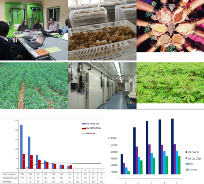 COMPREHENSIVE FINANCIAL PLANNING GUIDE FOR AGRIBUSINESSES