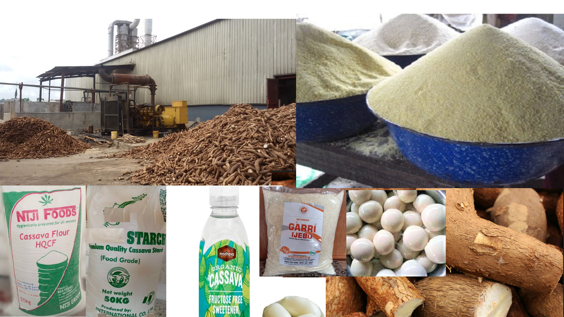 CASSAVA FOR FOOD VS. CASSAVA FOR INDUSTRY: STRIKING THE RIGHT BALANCE
